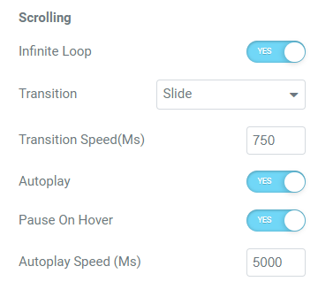 Fig. 2.6. Autoplay, loop, scrolling settings.